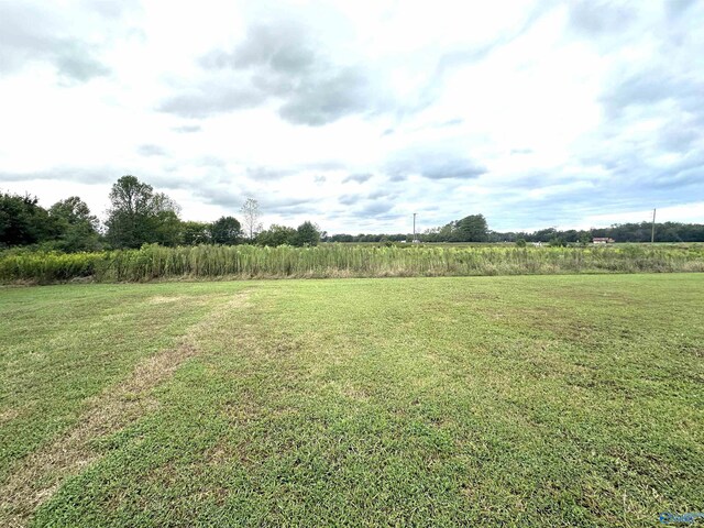 view of yard with a rural view