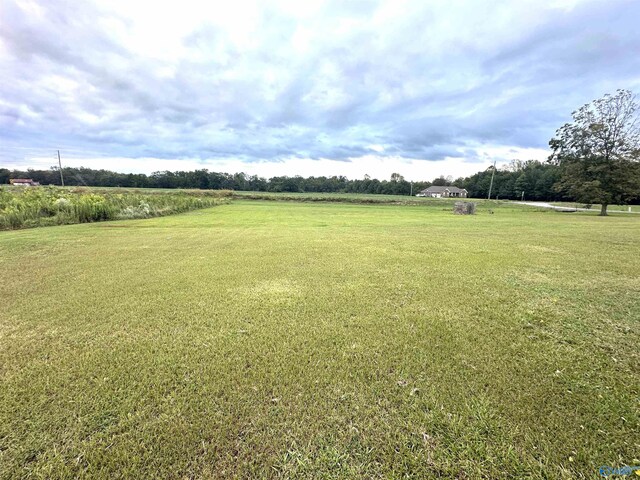 view of yard with a rural view