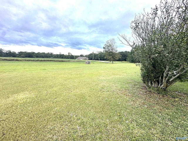 view of yard with a rural view