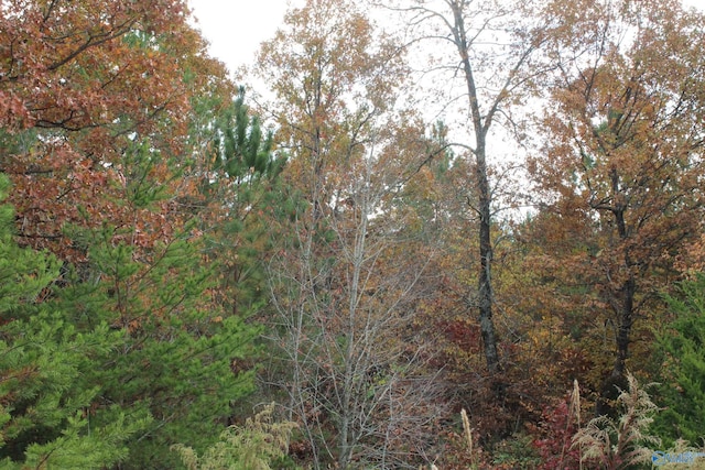 Listing photo 2 for LOT3 S Hillside Dr, Fort Payne AL 35968