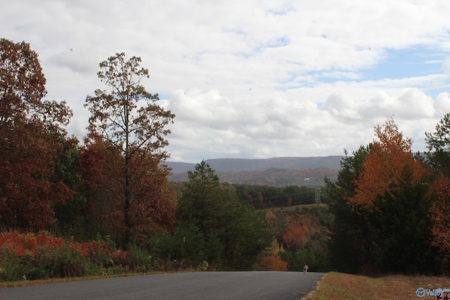 Listing photo 3 for LOT3 S Hillside Dr, Fort Payne AL 35968