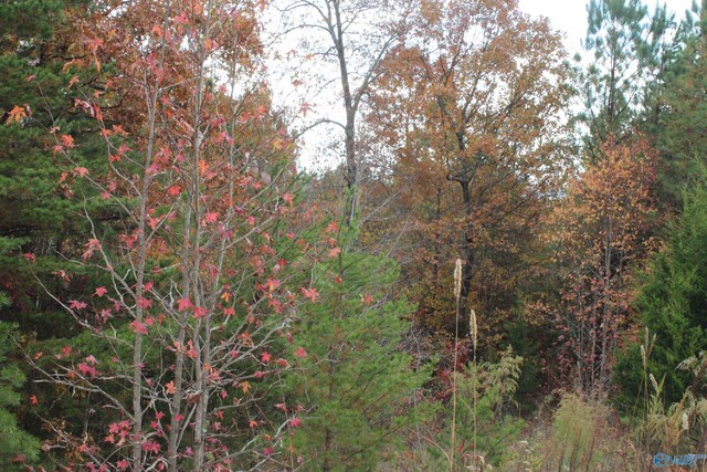 LOT3 S Hillside Dr, Fort Payne, AL 35968