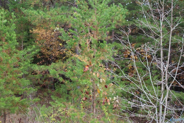 LOT3 S Hillside Dr, Fort Payne, AL 35968