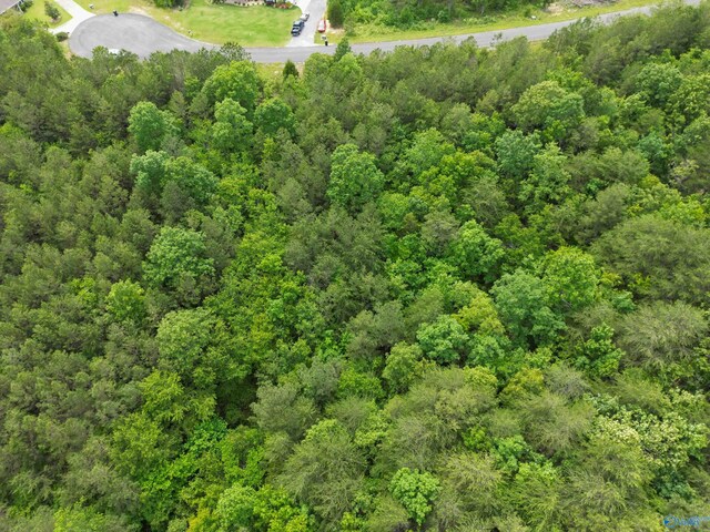 LOT3 S Hillside Dr, Fort Payne, AL 35968
