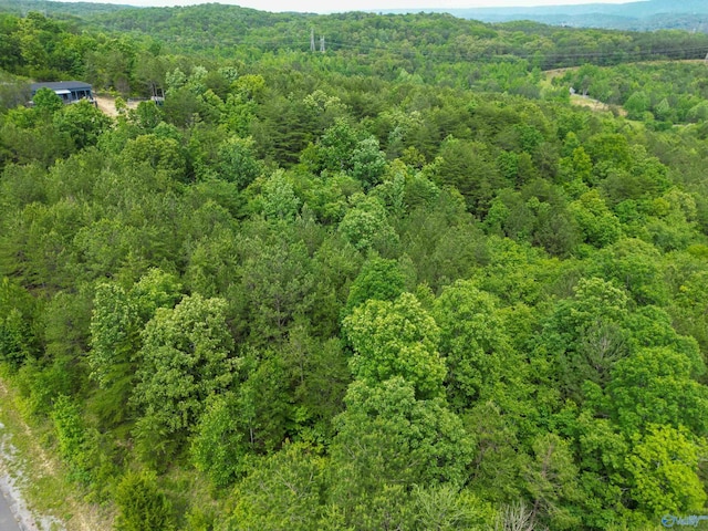 LOT3 S Hillside Dr, Fort Payne, AL 35968