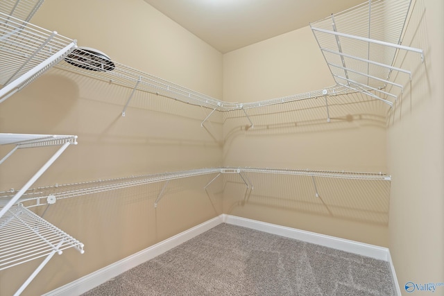 spacious closet with carpet flooring