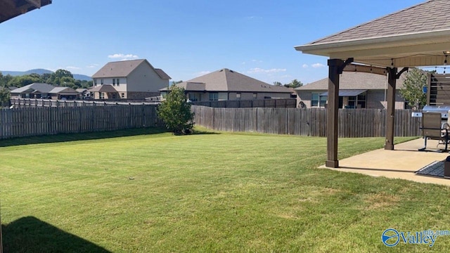 view of yard featuring a patio