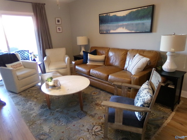 living room with wood-type flooring