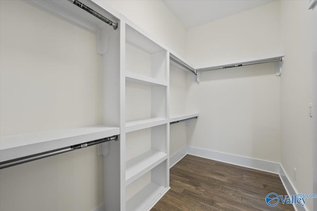 spacious closet with dark wood-type flooring