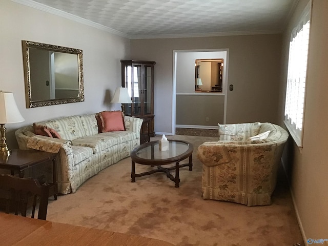 living room featuring ornamental molding and carpet flooring