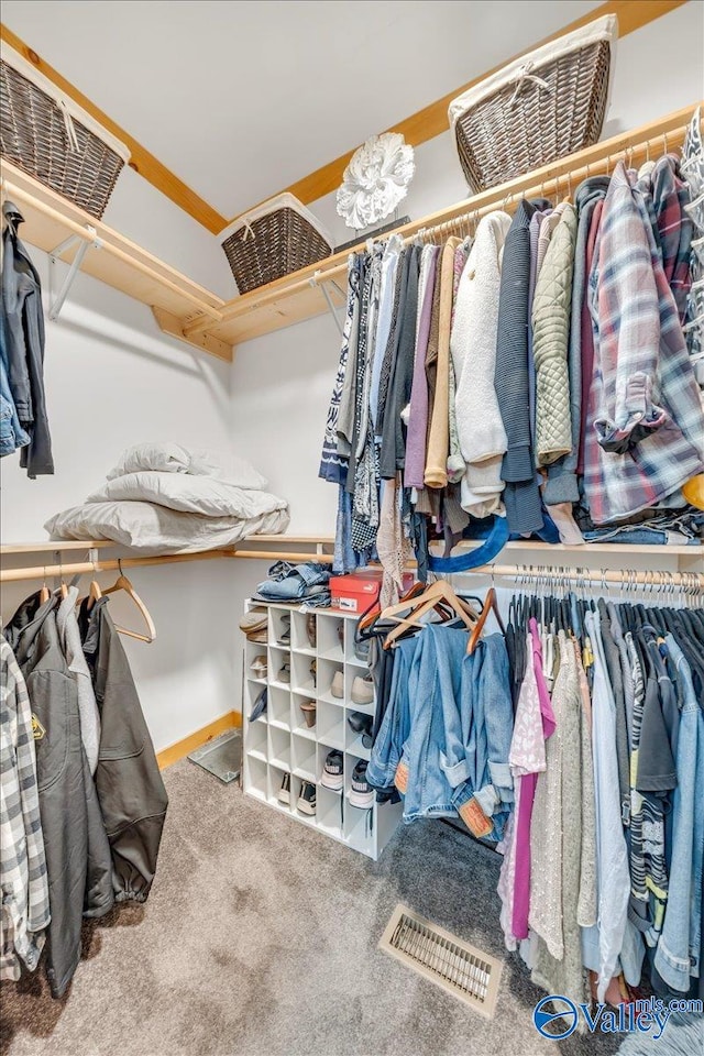 walk in closet featuring carpet and visible vents