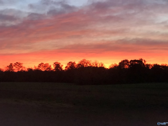 view of nature at dusk