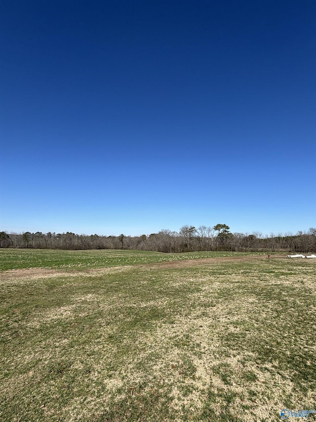 view of yard with a rural view
