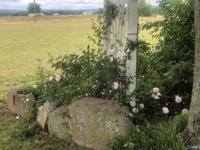 view of yard with a rural view
