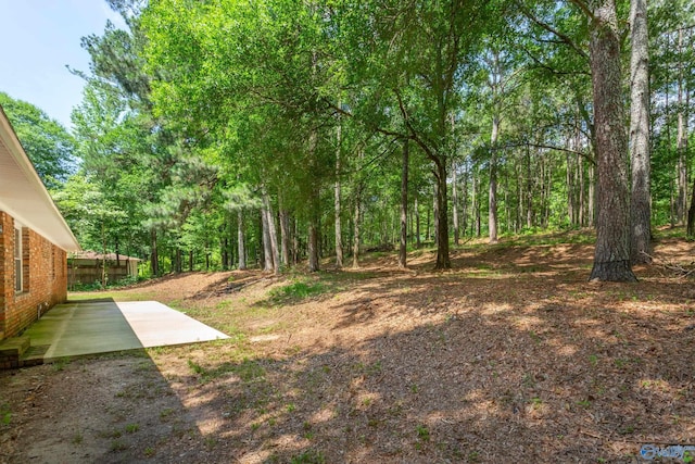 2810 Mountain View Dr, Southside, AL 35907 - view of yard with a patio area