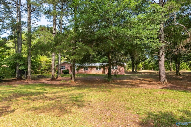 2810 Mountain View Dr, Southside, AL 35907 - view of green lawn