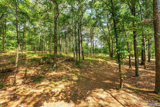 2810 Mountain View Dr, Southside, AL 35907 - view of woods