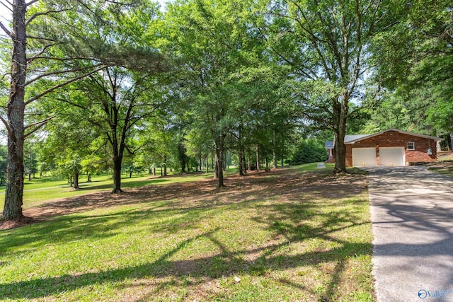 2810 Mountain View Dr, Southside, AL 35907 - view of green lawn featuring asphalt driveway