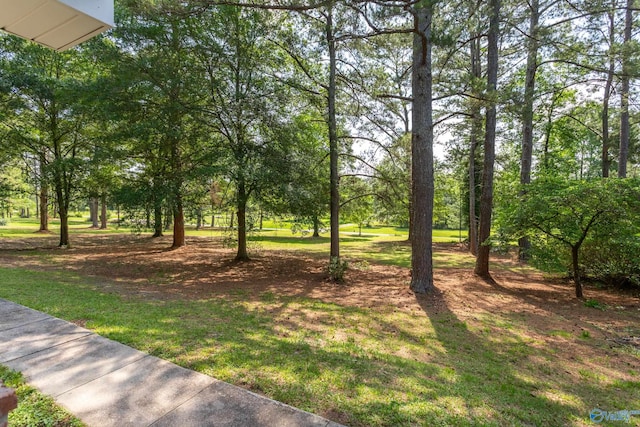 2810 Mountain View Dr, Southside, AL 35907 - view of grassy yard