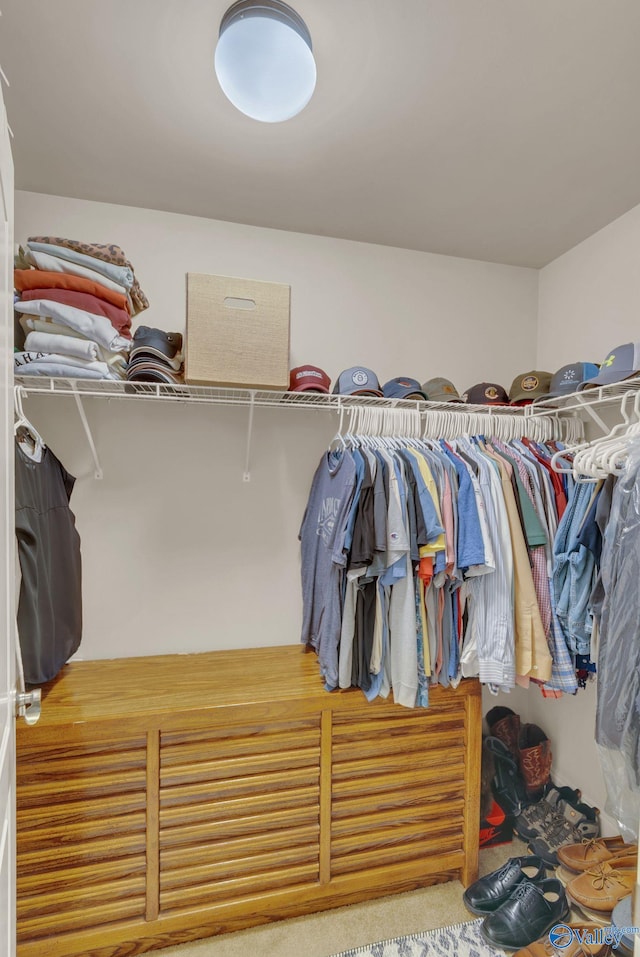 2626 SW Ashtynn Pl, Huntsville, AL 35803 - view of walk in closet