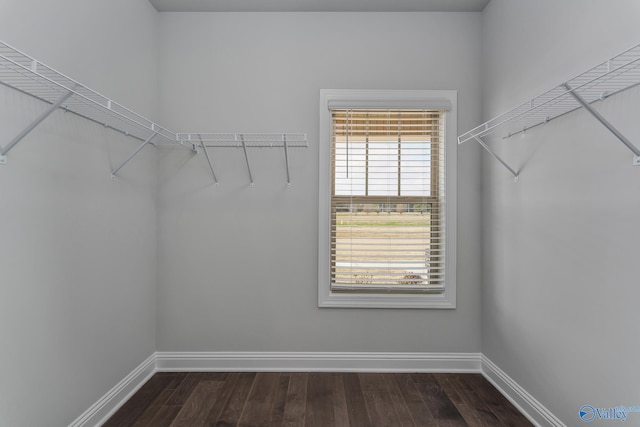 walk in closet with dark hardwood / wood-style floors