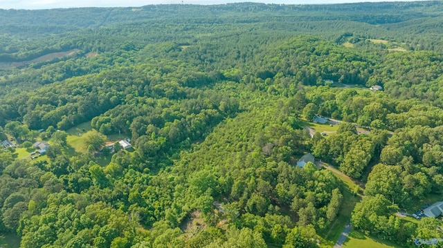 14.4 Wills Creek Rd, Fort Payne, AL 35968