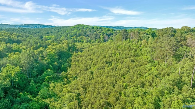 14.4 Wills Creek Rd, Fort Payne, AL 35968