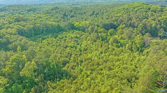 14.4 Wills Creek Rd, Fort Payne, AL 35968