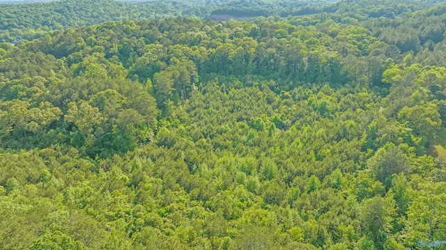 14.4 Wills Creek Rd, Fort Payne, AL 35968