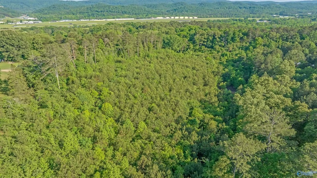 14.4 Wills Creek Rd, Fort Payne, AL 35968