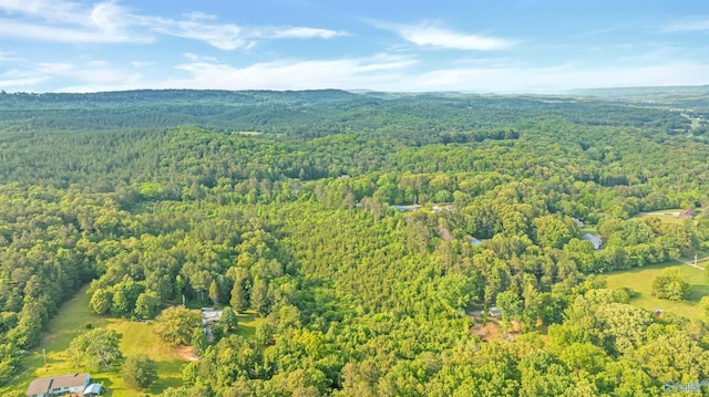 14.4 Wills Creek Rd, Fort Payne, AL 35968