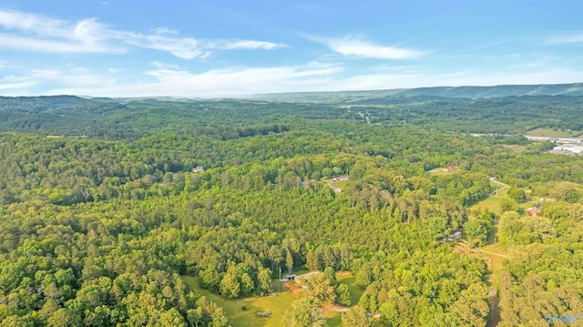14.4 Wills Creek Rd, Fort Payne, AL 35968