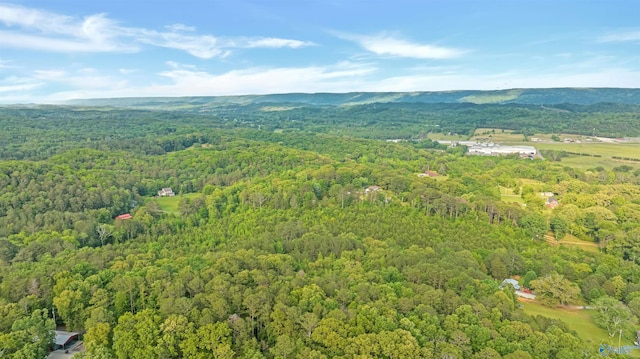 14.4 Wills Creek Rd, Fort Payne, AL 35968