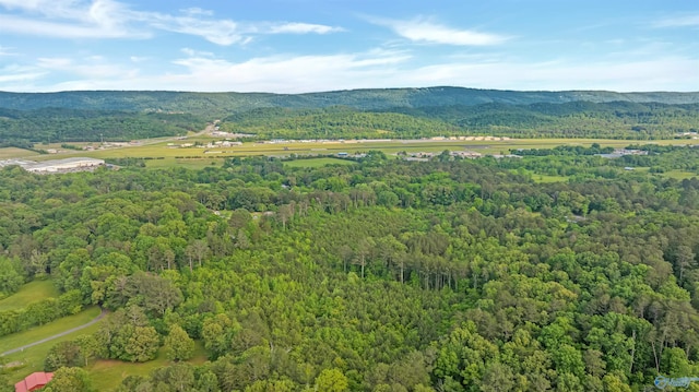 14.4 Wills Creek Rd, Fort Payne, AL 35968