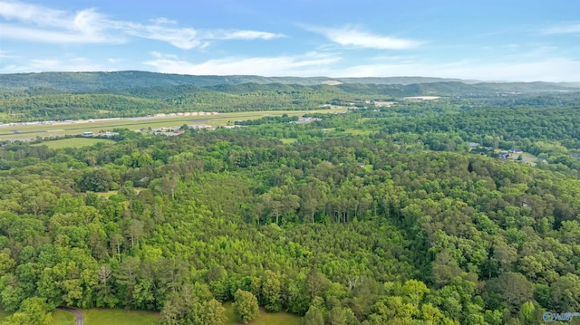 14.4 Wills Creek Rd, Fort Payne, AL 35968