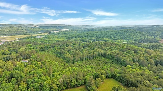 14.4 Wills Creek Rd, Fort Payne, AL 35968