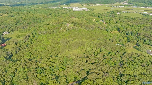14.4 Wills Creek Rd, Fort Payne, AL 35968