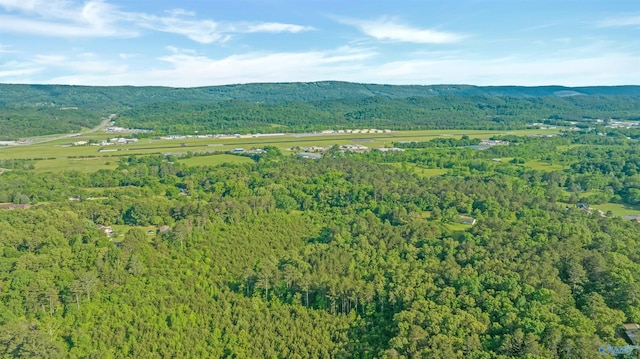14.4 Wills Creek Rd, Fort Payne, AL 35968