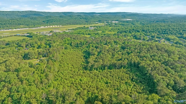 14.4 Wills Creek Rd, Fort Payne, AL 35968