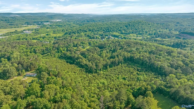 14.4 Wills Creek Rd, Fort Payne, AL 35968