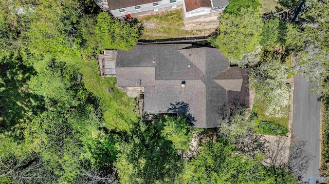 bird's eye view