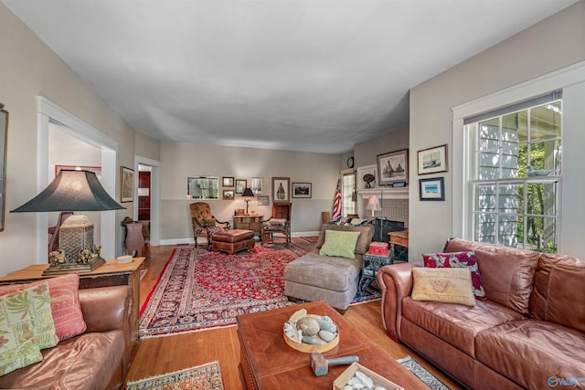 living area featuring wood finished floors and a fireplace