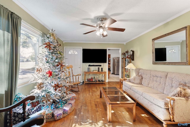 living room featuring a textured ceiling, ceiling fan, wood-type flooring, and ornamental molding