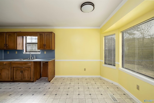 kitchen with ornamental molding and sink