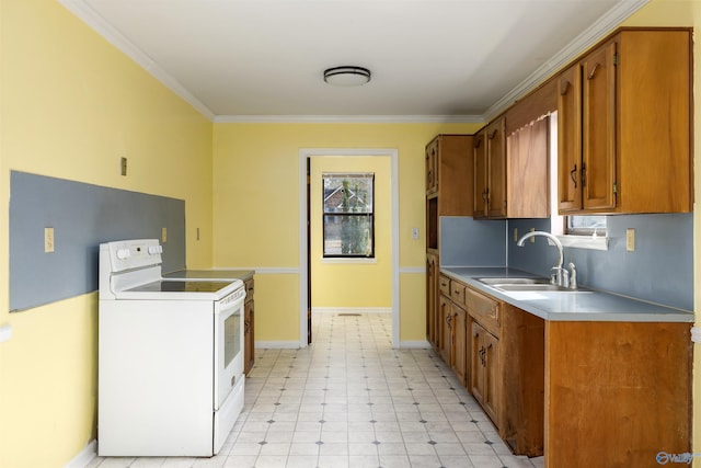 kitchen with sink, white electric stove, and crown molding