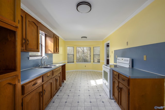 kitchen featuring sink, white electric range oven, and ornamental molding