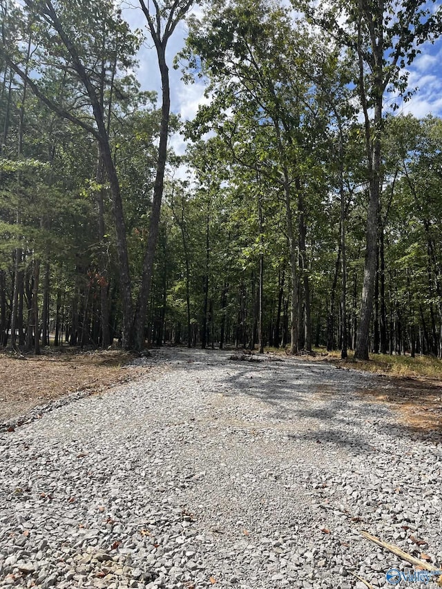 15069 Wade Point Rd SE, Huntsville AL, 35803 land for sale