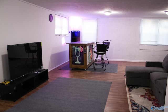 living room featuring dark hardwood / wood-style flooring