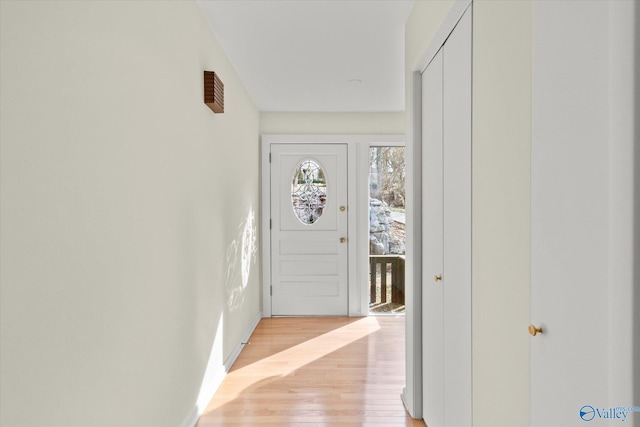 entrance foyer featuring light wood-type flooring