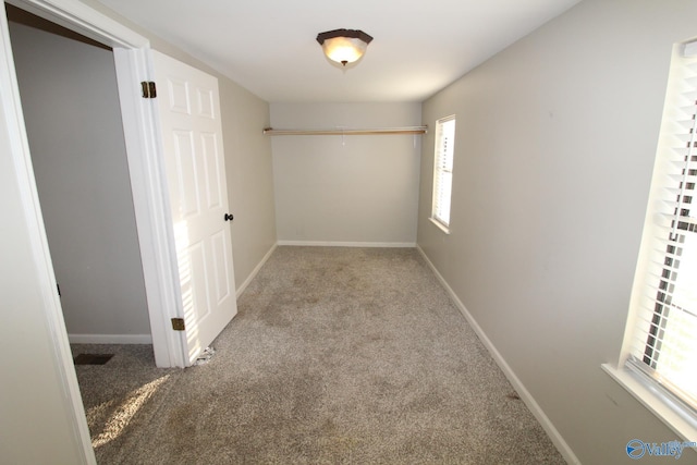 walk in closet featuring carpet floors